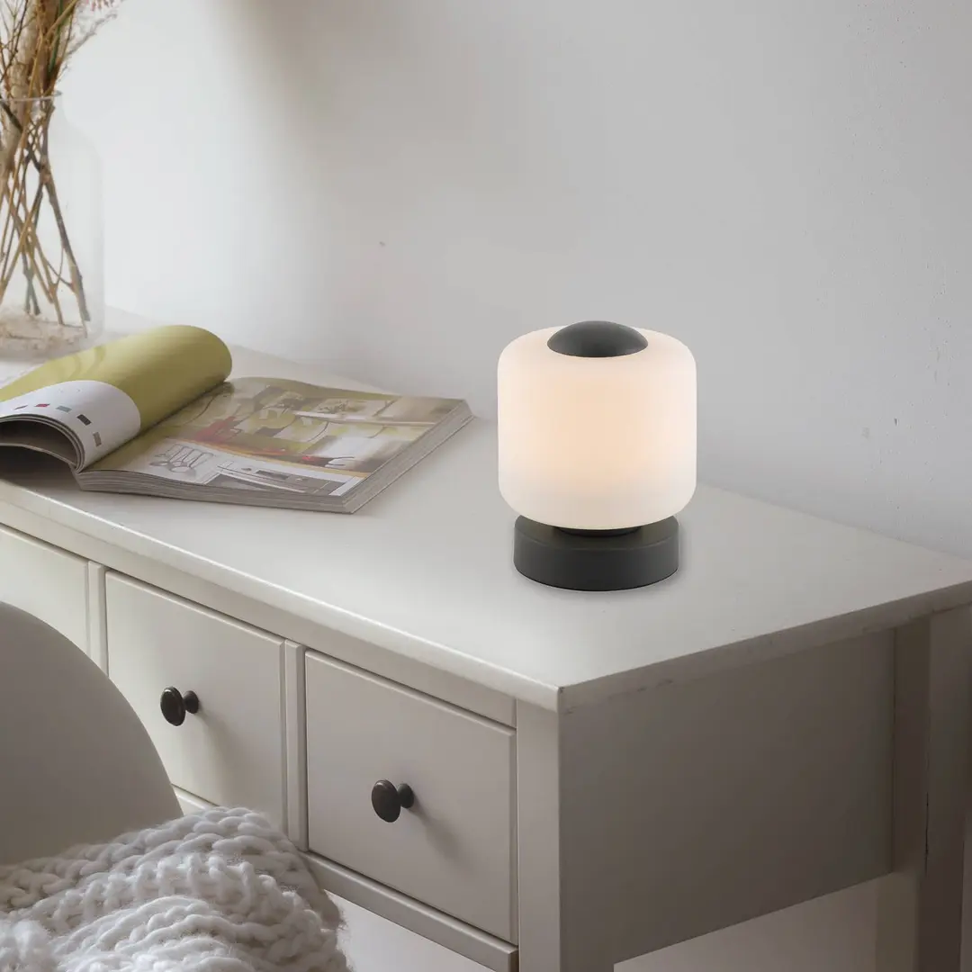 Paul Neuhaus LED-Tischleuchte Bota, anthrazit, Glas, dimmbar