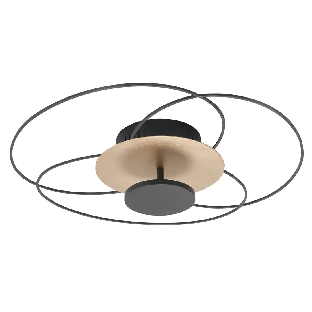 Highlight LED-Deckenleuchte Fiore, 2.700 K, schwarz/gold
