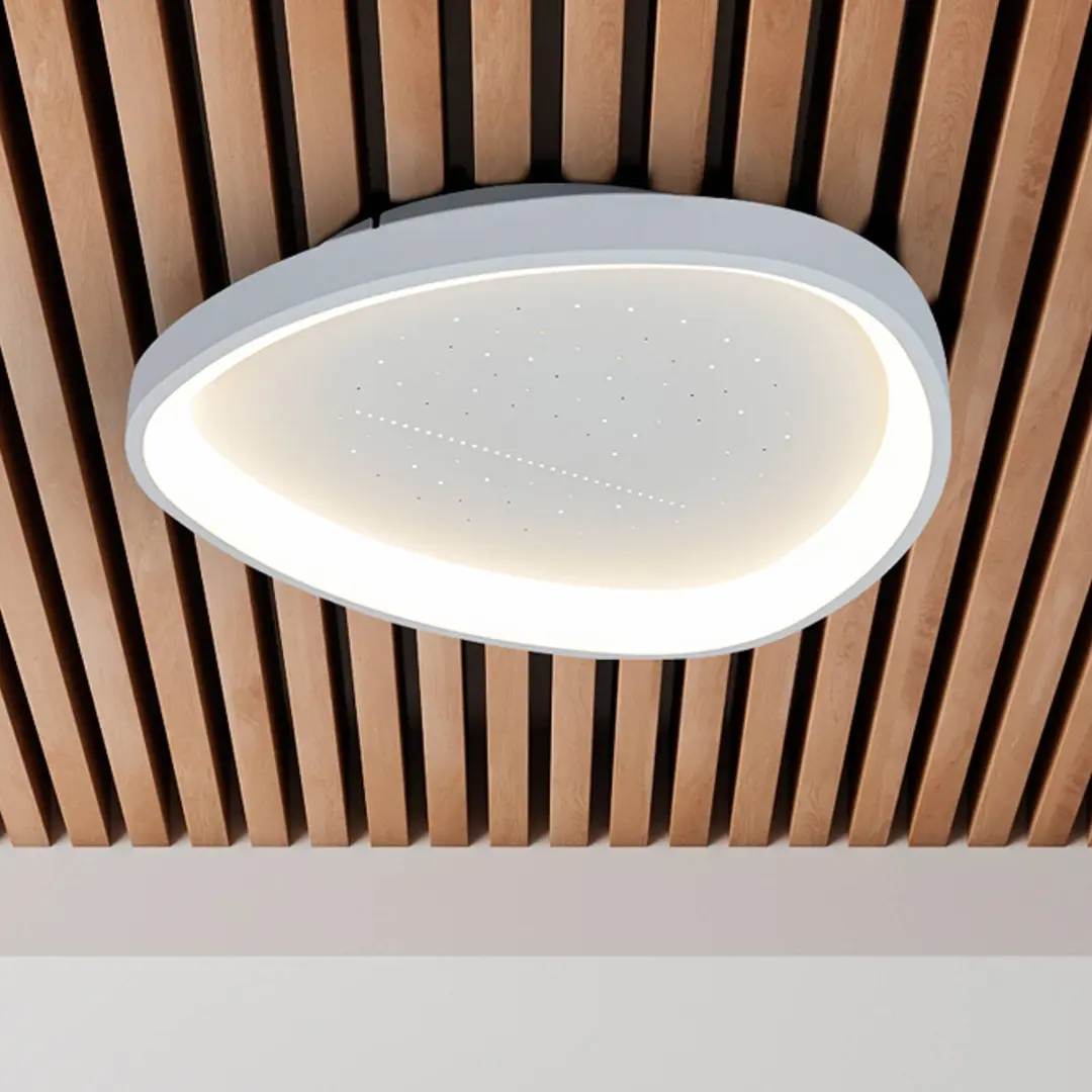 Naeve Leuchten LED-Deckenleuchte Argesa Ø 60,5 cm, weiß, CCT, Fernbedienung