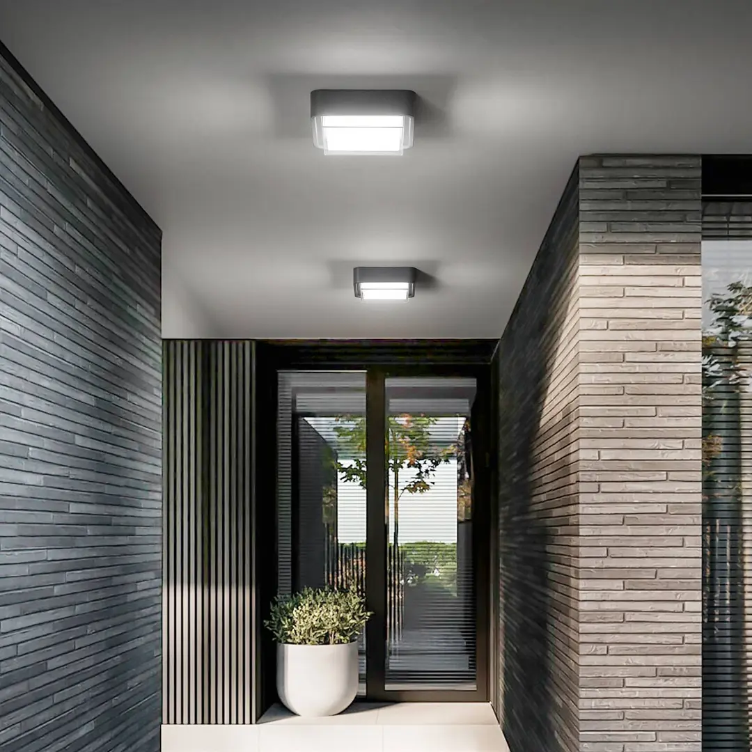 Fabas Luce LED-Außendeckenleuchte Diuk, dunkelgrau, Metall, IP65