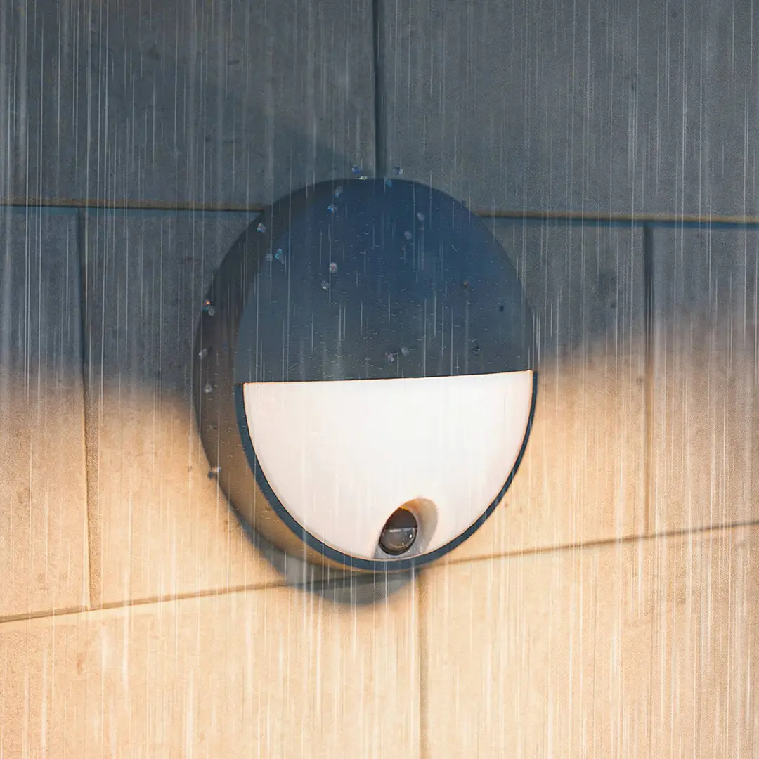 Philips LED-Außenwandleuchte Capricorn UE, Sensor, IP44
