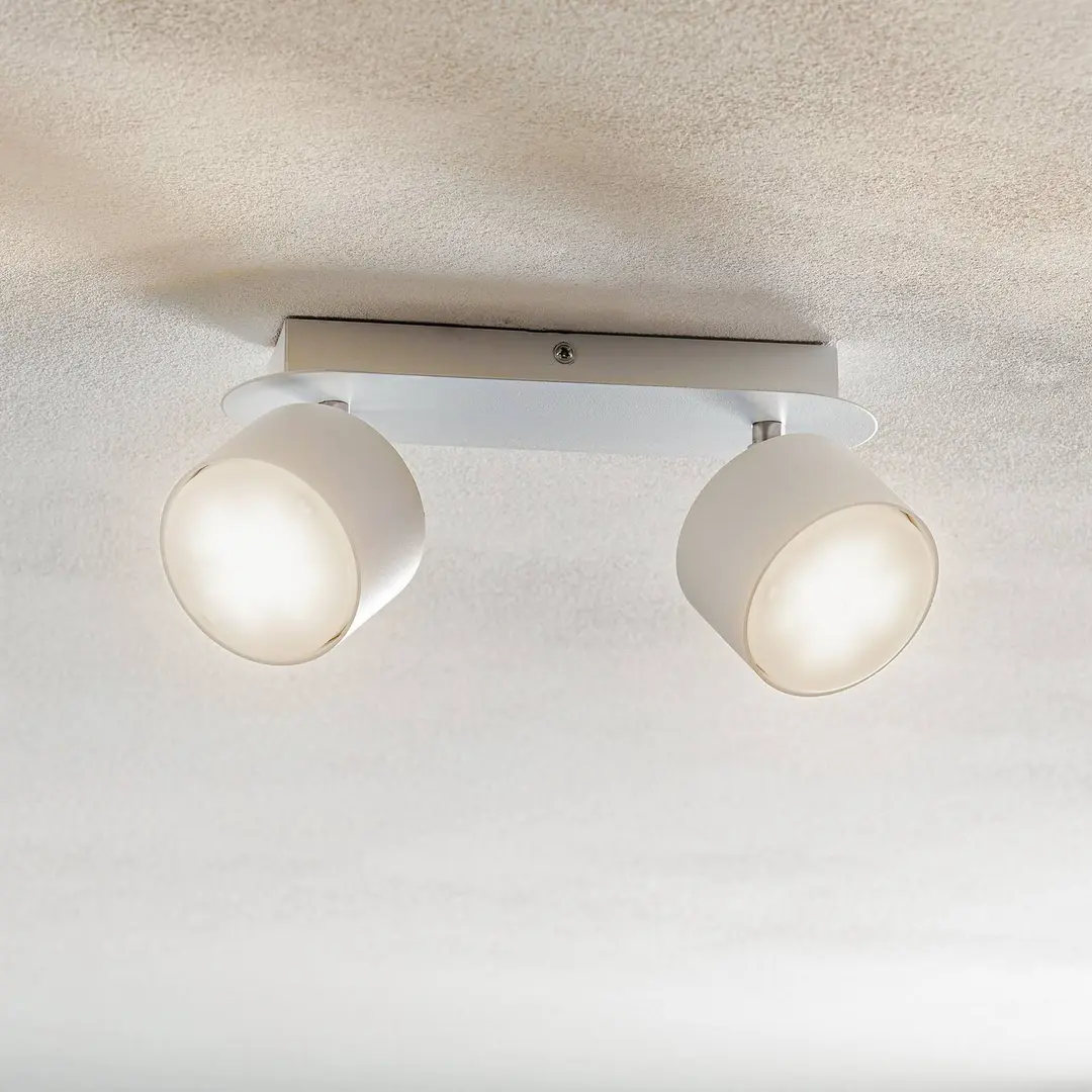 Eko-Light Deckenstrahler Cloudy zweiflammig weiß