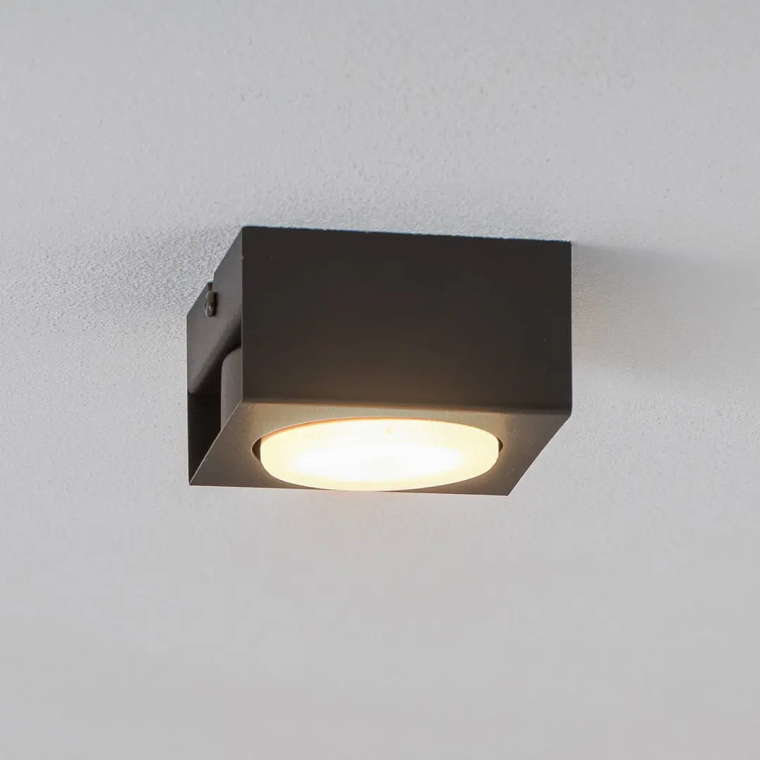 Luminex Downlight Ian in Schwarz, einflammig