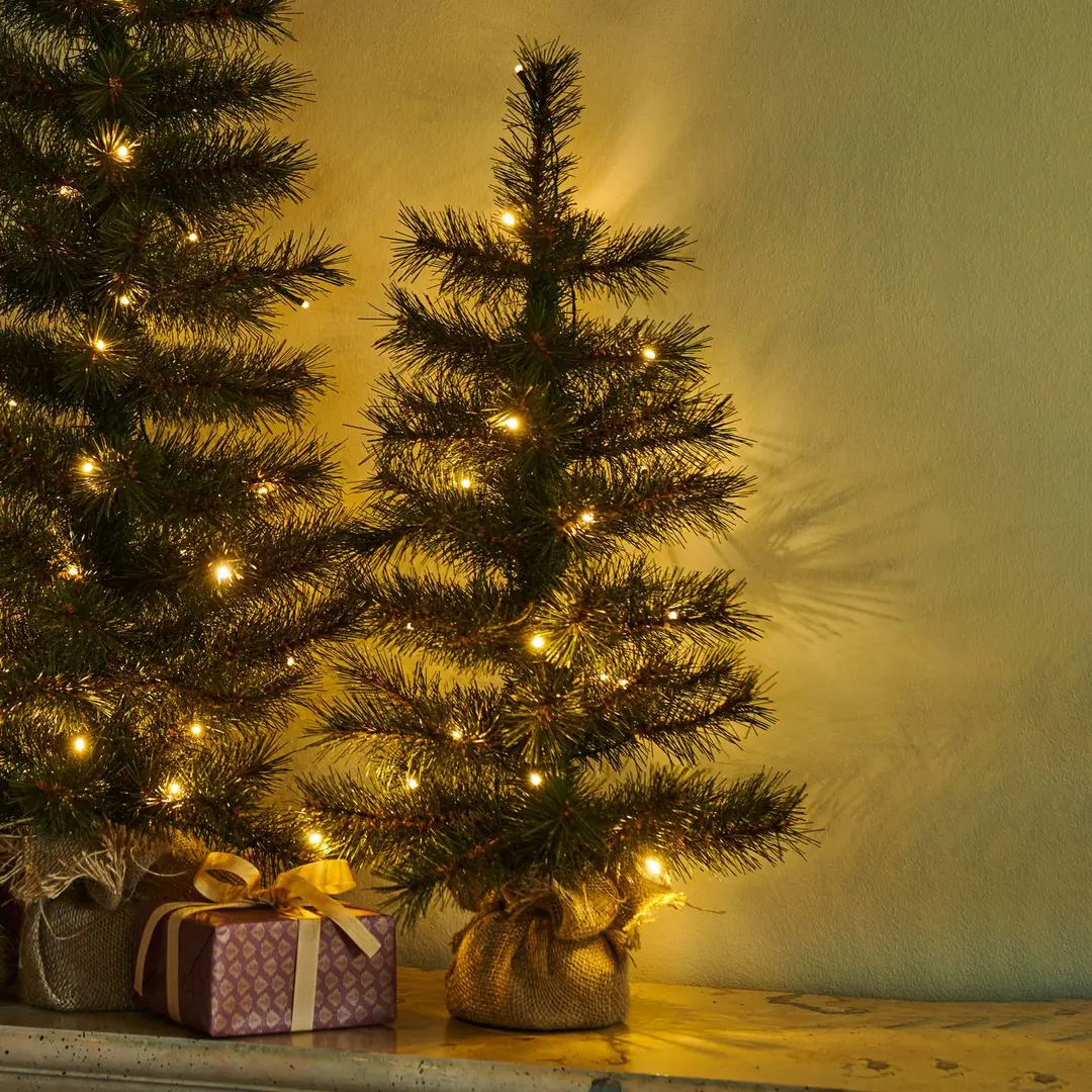 Sirius LED-Baum Alvin für innen und außen, Höhe 60 cm