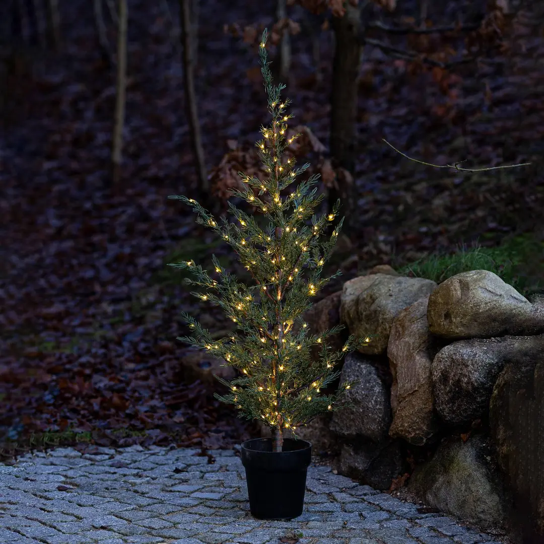 Sirius LED-Baum Milas Cedar Tree im Topf, für außen
