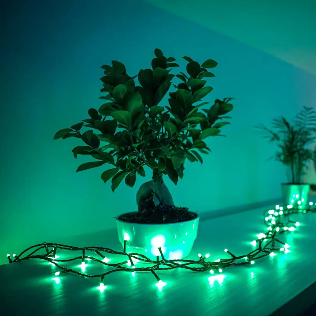 twinkly Lichterkette Twinkly RGB, schwarz, 250-flammig 20m