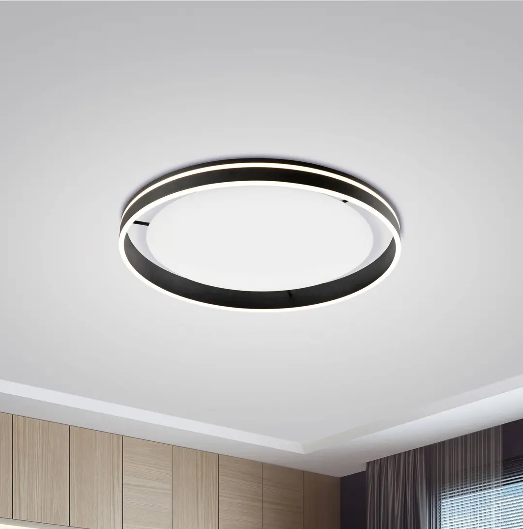 Q-Smart-Home Paul Neuhaus Q-VITO LED-Deckenlampe 79cm anthrazit