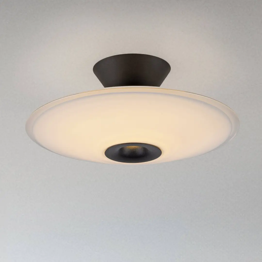 Paul Neuhaus LED-Deckenlampe Elipsa, weiß/schwarz, Ø 35 cm