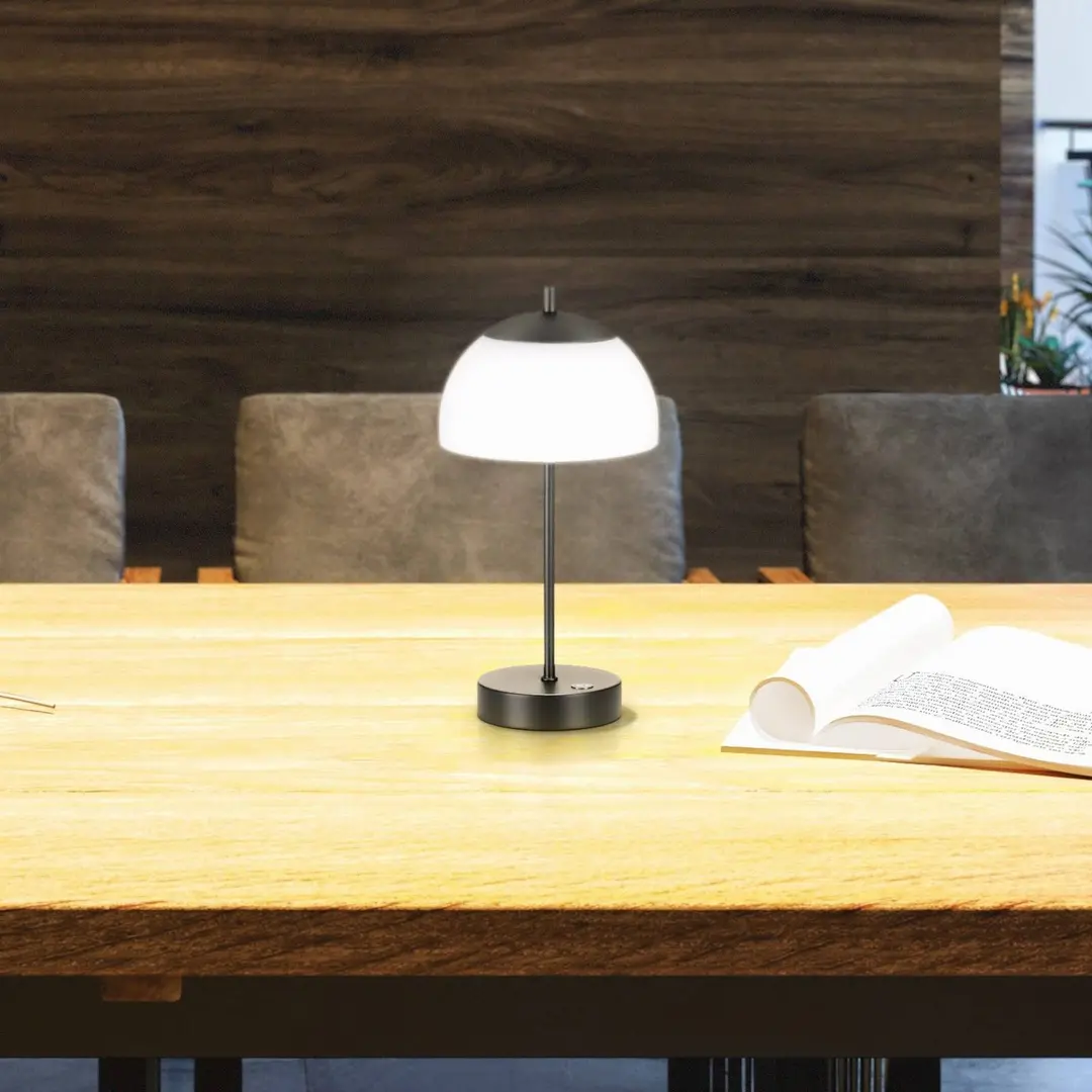 FH Lighting LED-Akku-Tischleuchte Riva, schwarz, CCT, dimmbar, Höhe 35cm