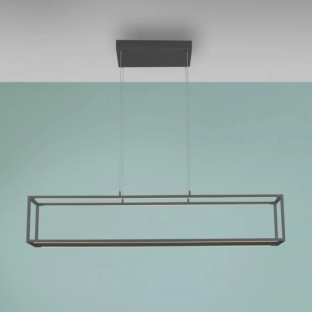PAUL NEUHAUS LED-Hängelampe Conni, schwarz, 130 cm, CCT
