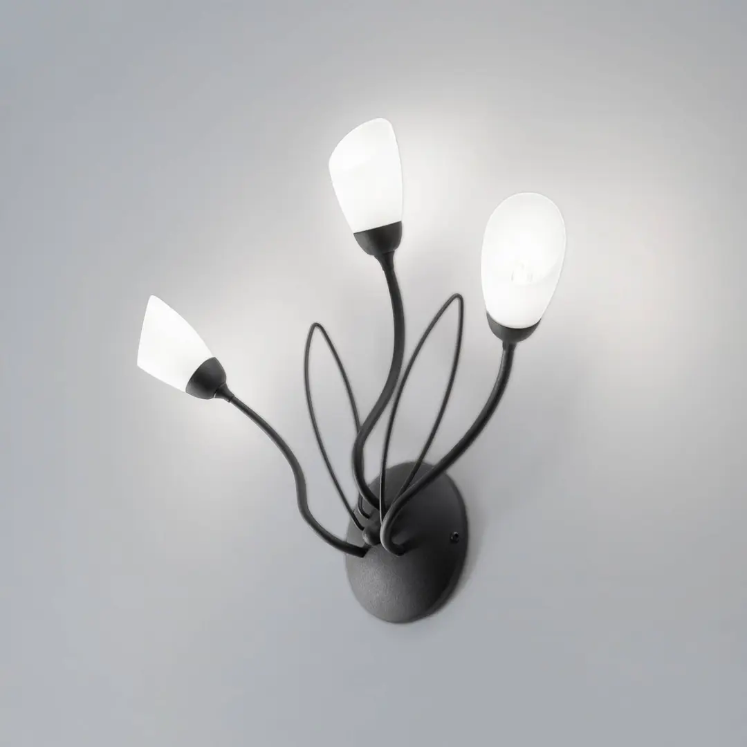 Jupiter Wandleuchte Gloriosa, schwarz, Glas, 3-flammig