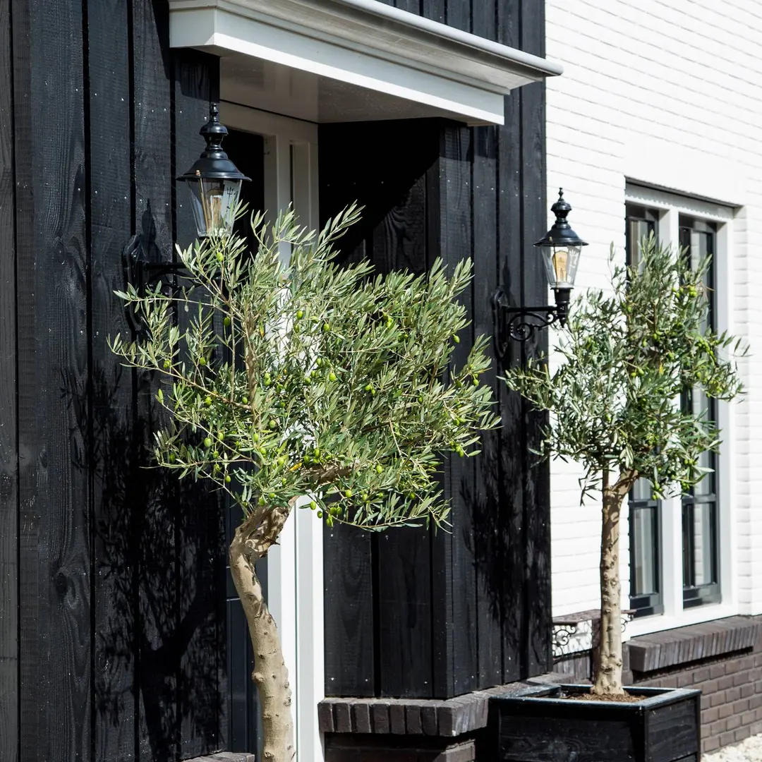 K.S. Verlichting Nostalgische Außenwandleuchte Edam M, grün/kupfer