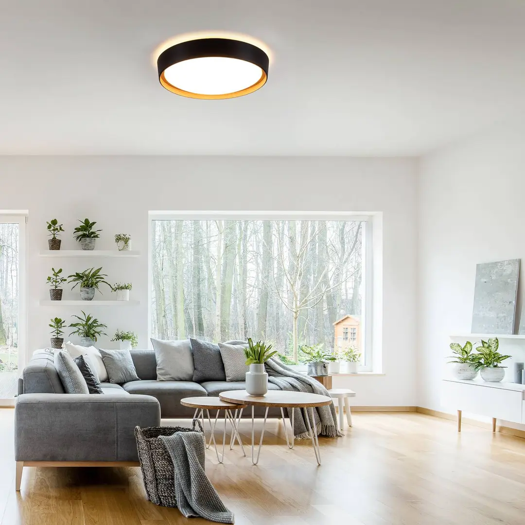 JUST LIGHT. GmbH LED-Deckenleuchte Emilia 3-stufig dimmbar schwarz