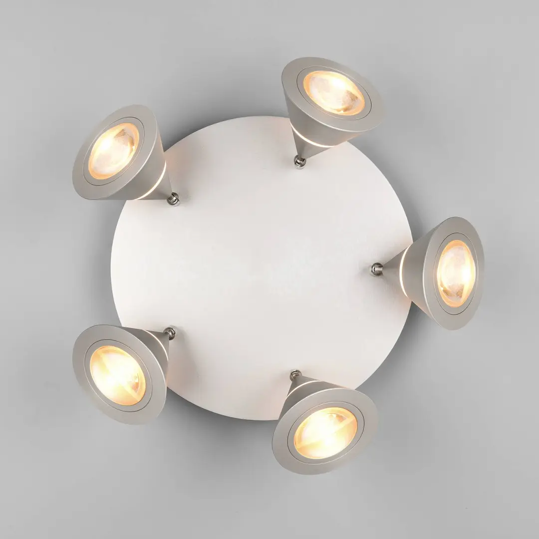 Trio Lighting LED-Deckenstrahler Romeo, Ø 30 cm, nickelfarben, 5-flg.