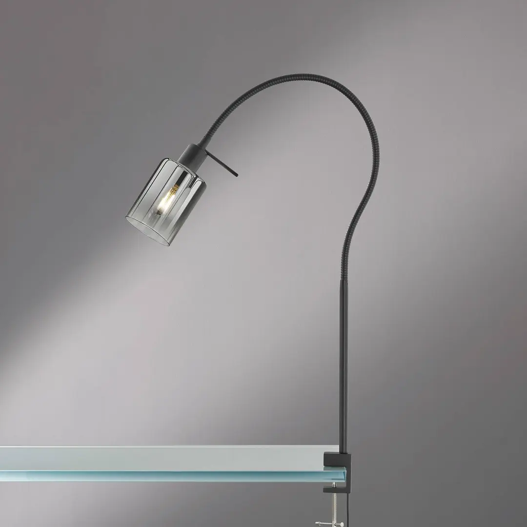 FISCHER & HONSEL Klemmleuchte Iska mit Glasschirm