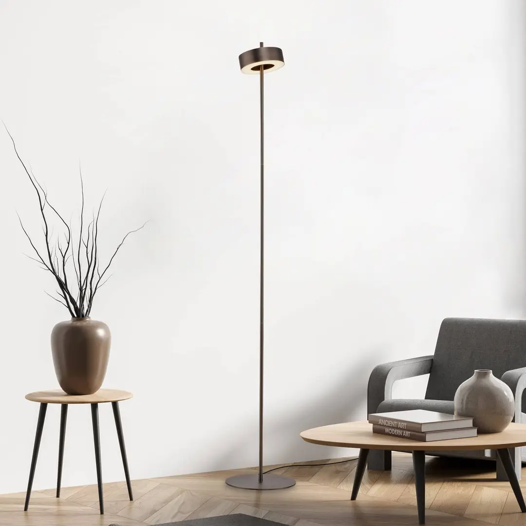 Q-Smart-Home Paul Neuhaus Smart-LED-Stehlampe Q-Rotate dunkelbraun 140 cm