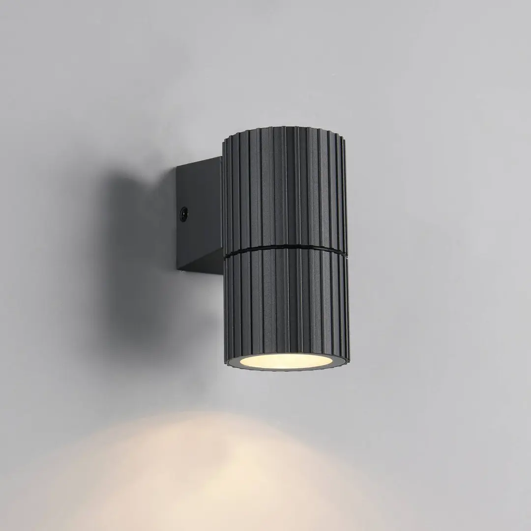 Trio Lighting Außenwandlampe Parana, anthrazit, Höhe 11 cm, Metall
