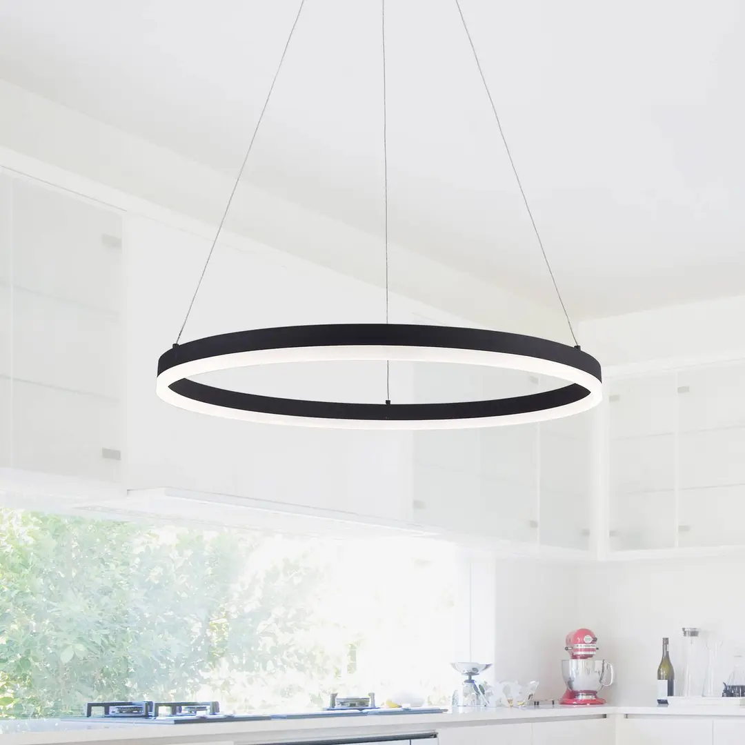 PAUL NEUHAUS LED-Hängeleuchte TITUS, anthrazit, Ø 60 cm, Metall switchdim