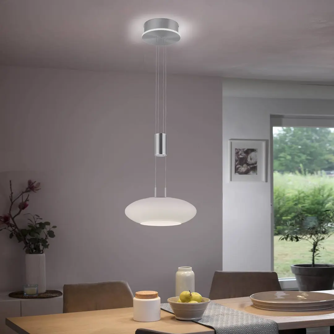 Q-Smart-Home Paul Neuhaus Q-ETIENNE LED-Hängeleuchte, 1-flammig
