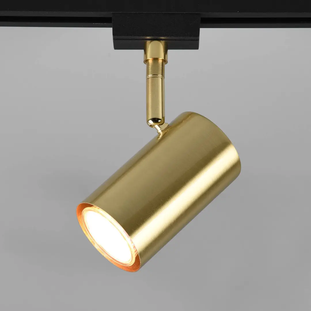 Trio Lighting 2-Phasen-Spot Marley DUOline, GU10, messing matt