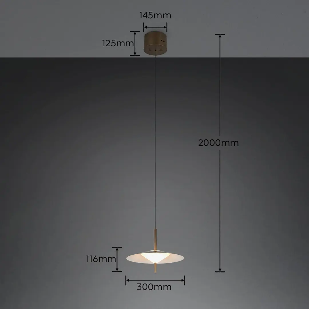Trio Lighting LED-Hängelampe Amalo, platinfarben, Ø 30 cm, Metall, CCT