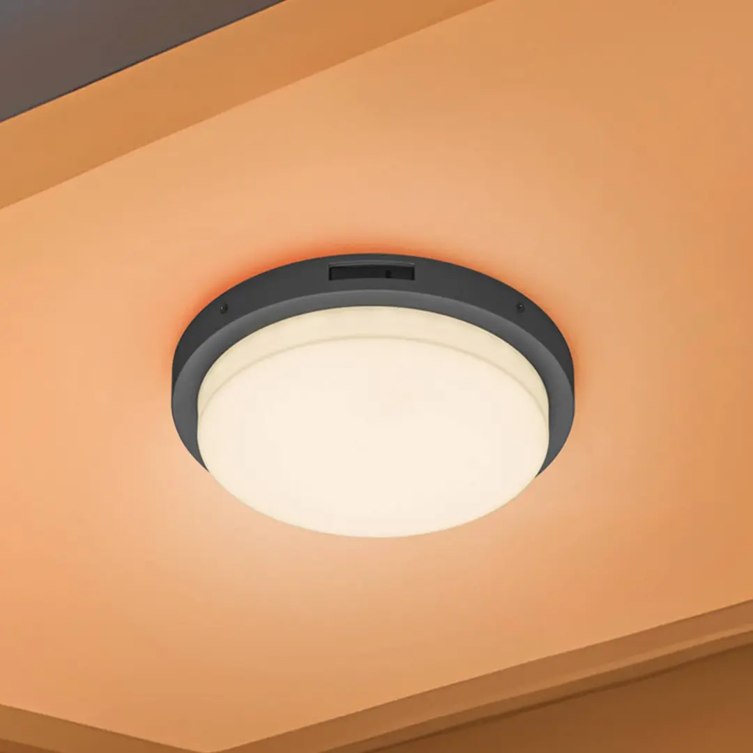 Trio Lighting LED-Außenwandleuchte Bermejo, rund, Sensor, CCT, anthrazit