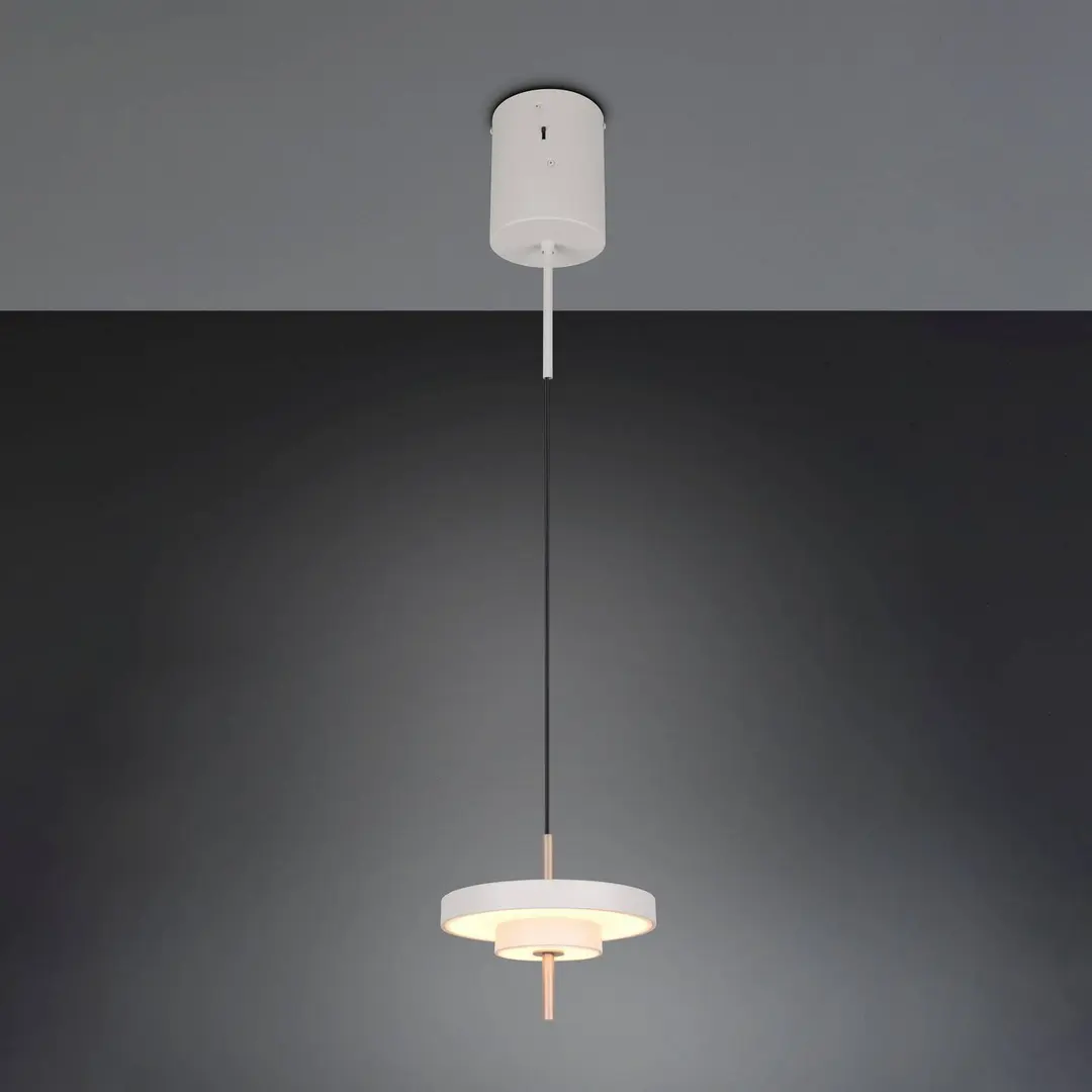 Trio Lighting LED-Hängelampe Keaton, hellgrau, Ø 20 cm, Metall, CCT