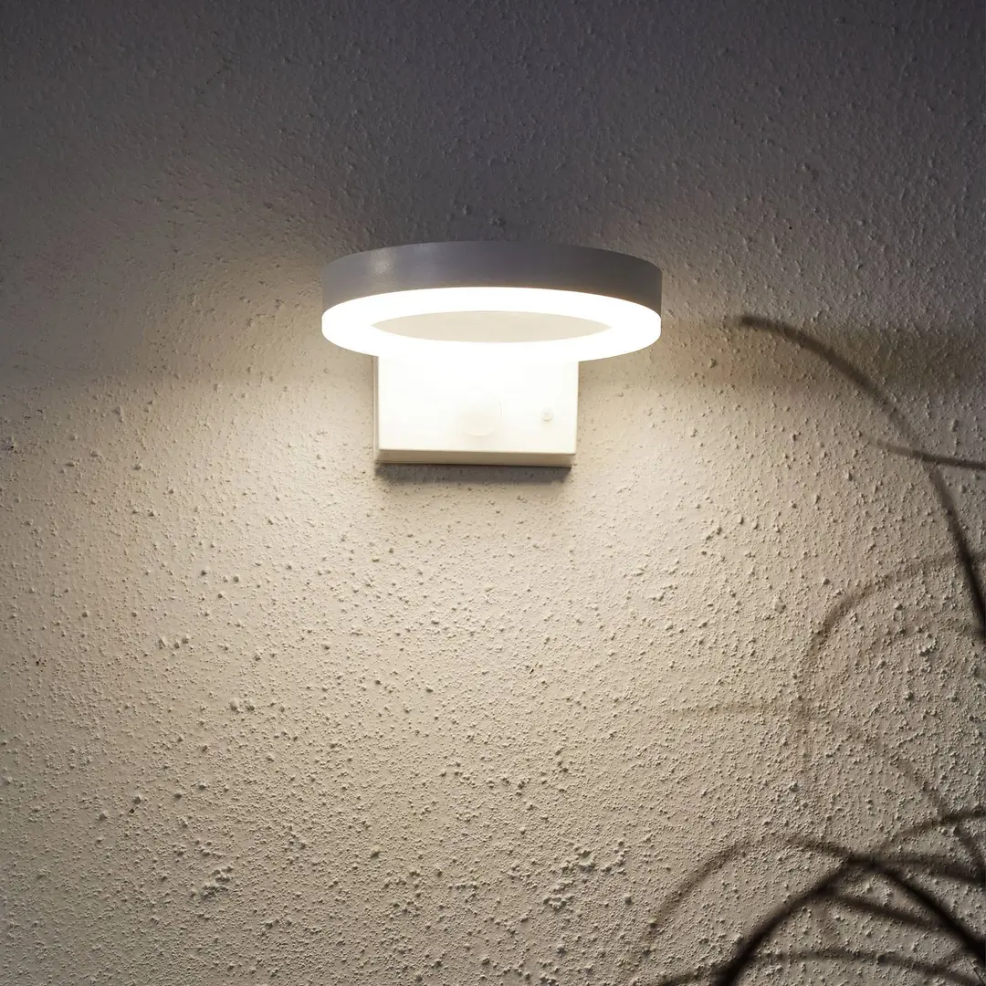 STAR TRADING LED-Solar-Wandleuchte Vidi mit Bewegungsmelder