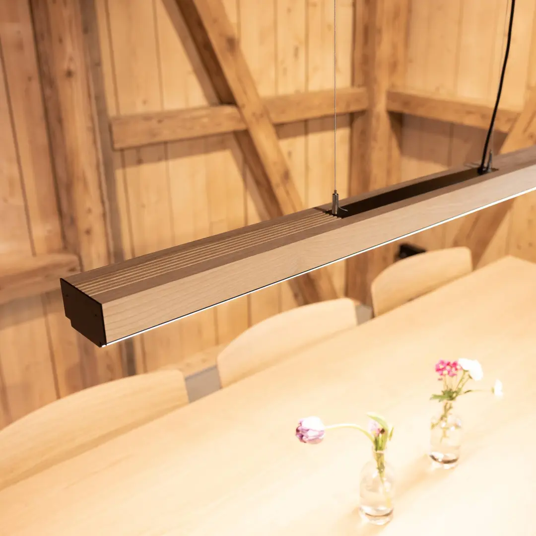 LTS Timba LED-Hängeleuchte Stromschiene, lang, 927