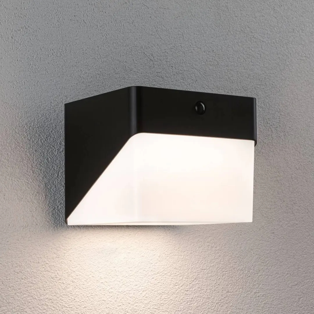 Paulmann LED-Wandlampe Lioren, 230V + Solar, schwarz 17 cm