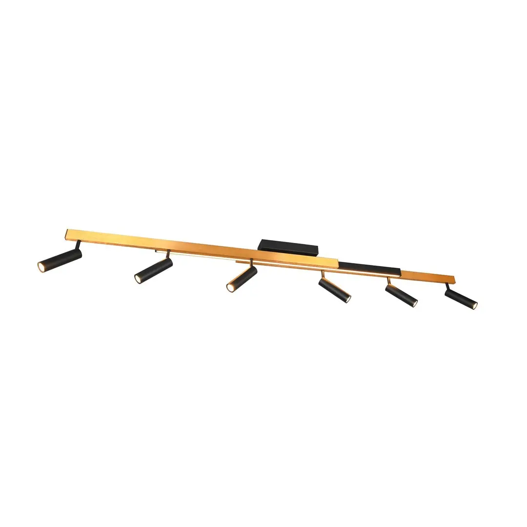 Trio Lighting LED-Deckenspot Zeno, 6 Spots, schwarz/gold, Metall