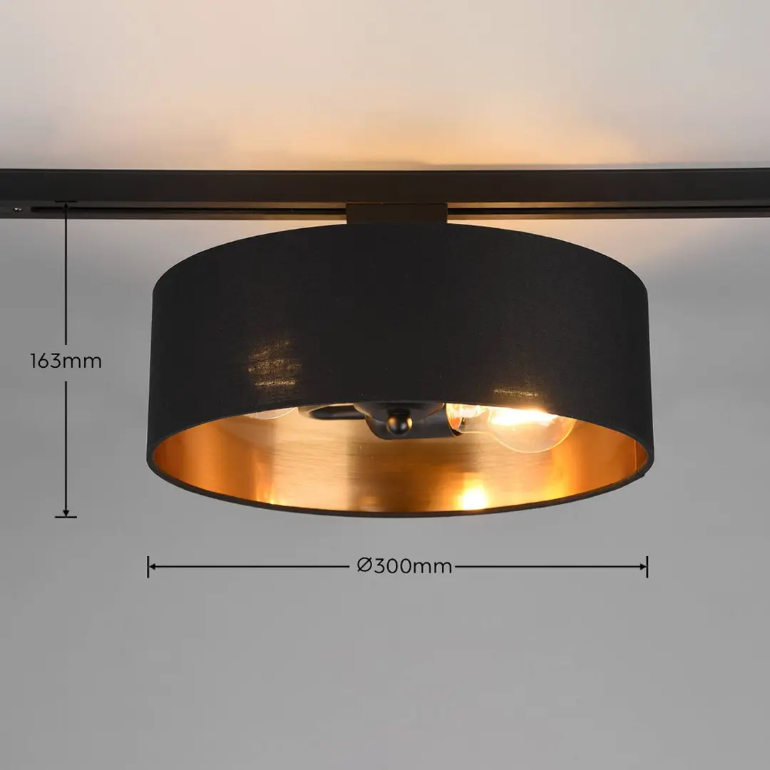 Trio Lighting Schienenleuchte Hostel für DUOline, schwarz-gold, E27