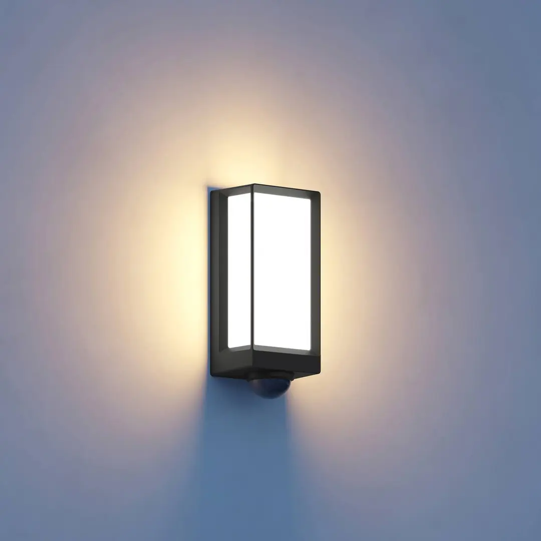 STEINEL Smart Sensor-Außenwandlampe L42 SC anthrazit