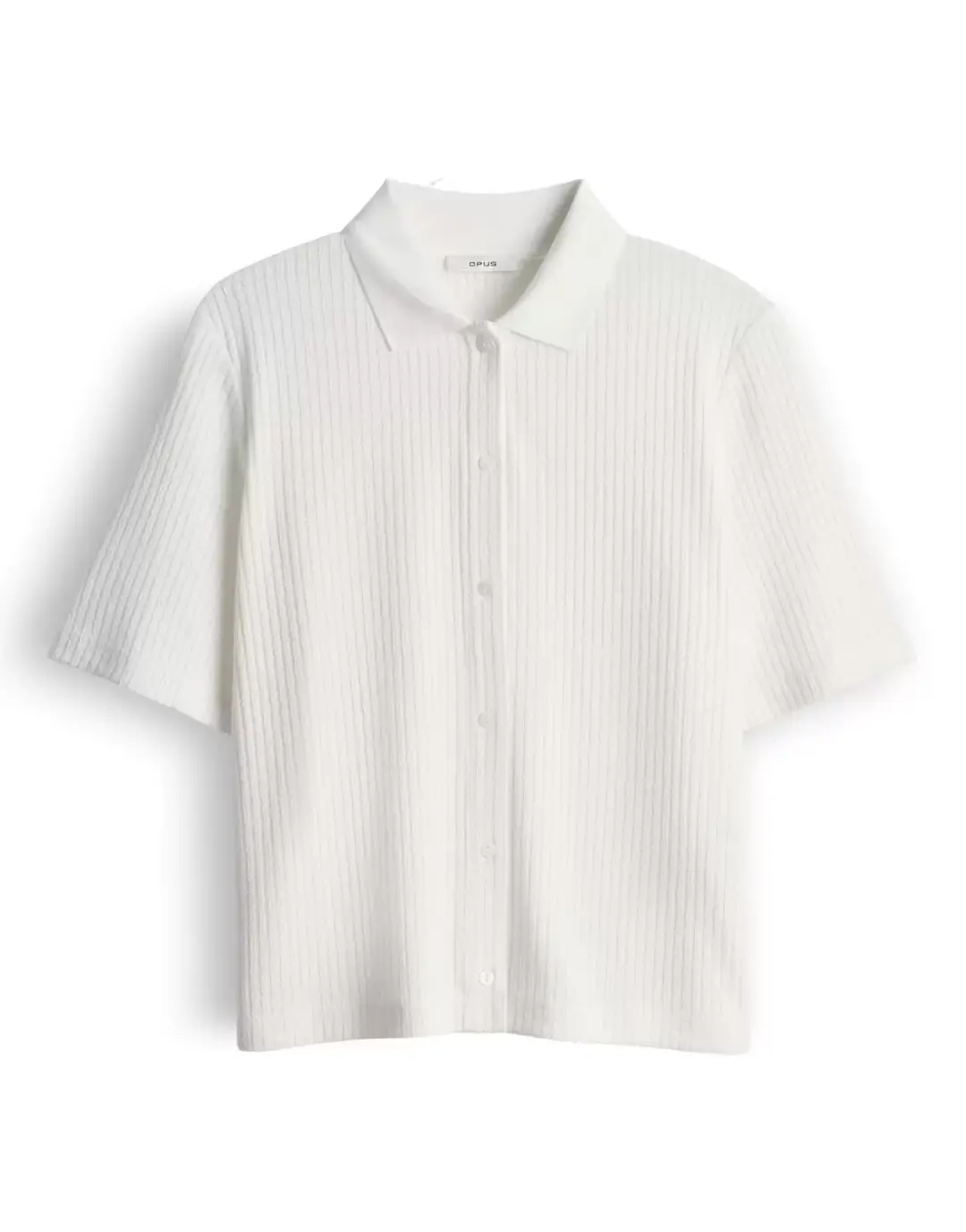 Opus Somelli, milk